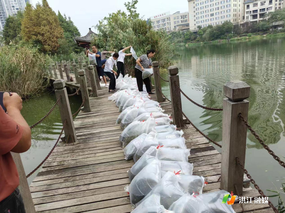 市畜牧水产事务中心1.png